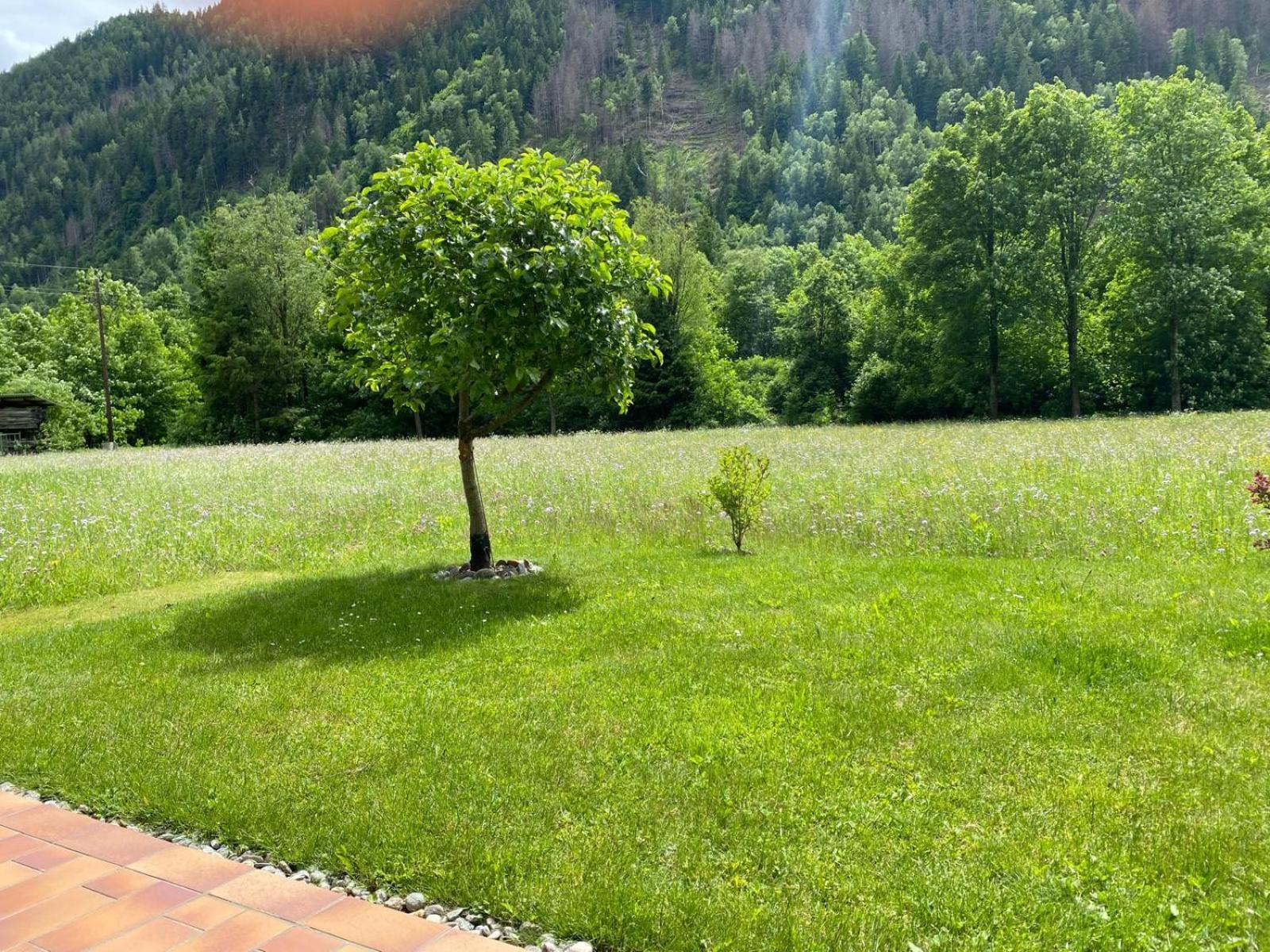 Appartement Dallavia Unterleibnig Εξωτερικό φωτογραφία